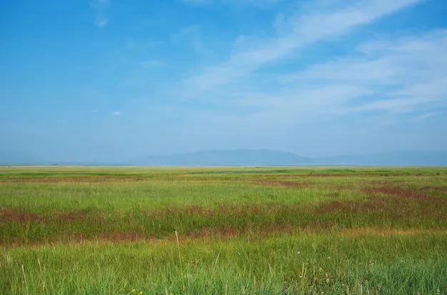 Paysage de la Bouriatie – steppes et montagnes en Sibérie orientale