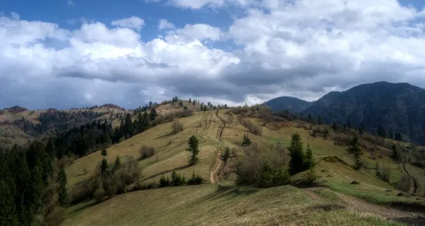 Les Carpates ukrainiennes