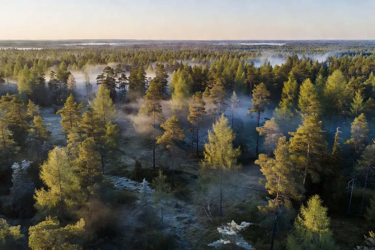 Taiga siberienne vue du ciel au petit matin, foret boreale infinie avec brumes
