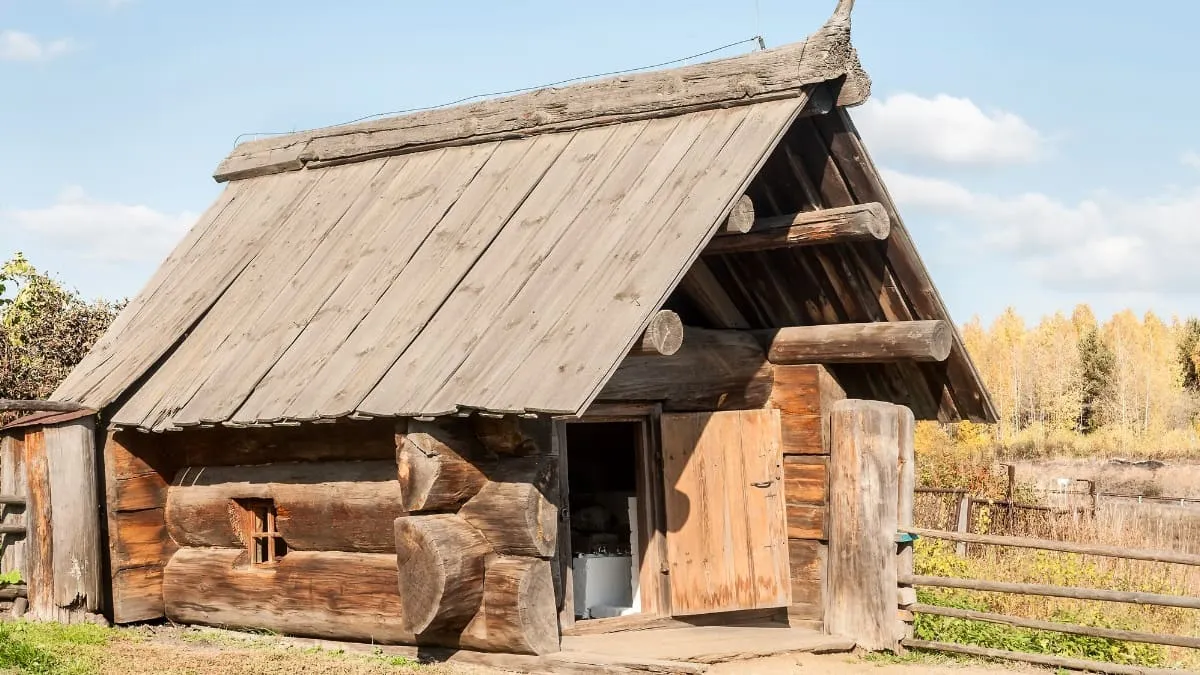 Expérience du banya russe avec venik